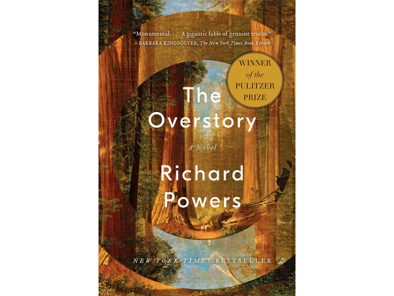 the overstory book reviews