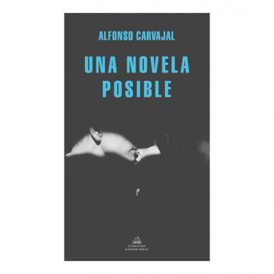 ImagenUna Novela Posible. Carvajal Rueda, Alfonso